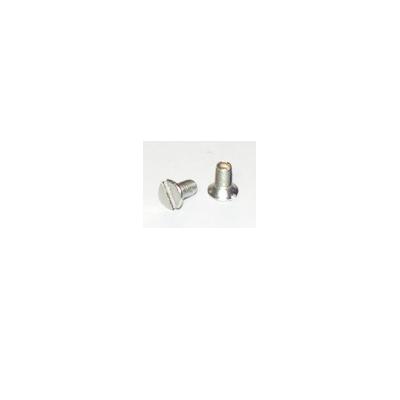 Hohner Flat Head Screws 3x8mm, DIN963 ( 7603006 )