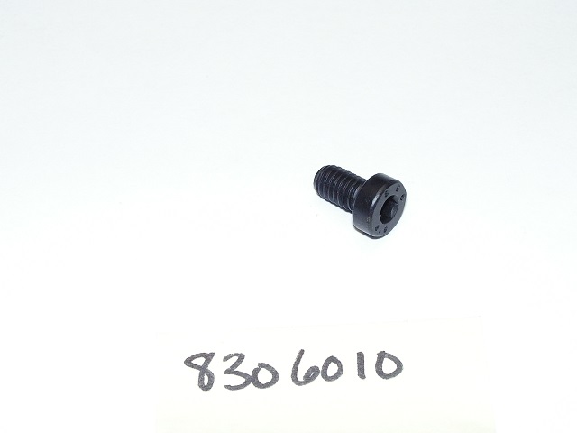 product Hohner Allen Cap Screw: DIN 7984: M6 X 10mm (8306010)