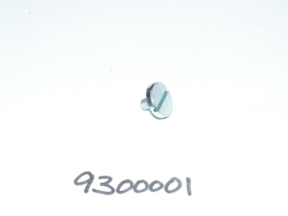 Hohner Slotted Pan Head Screw ( 9300001 )